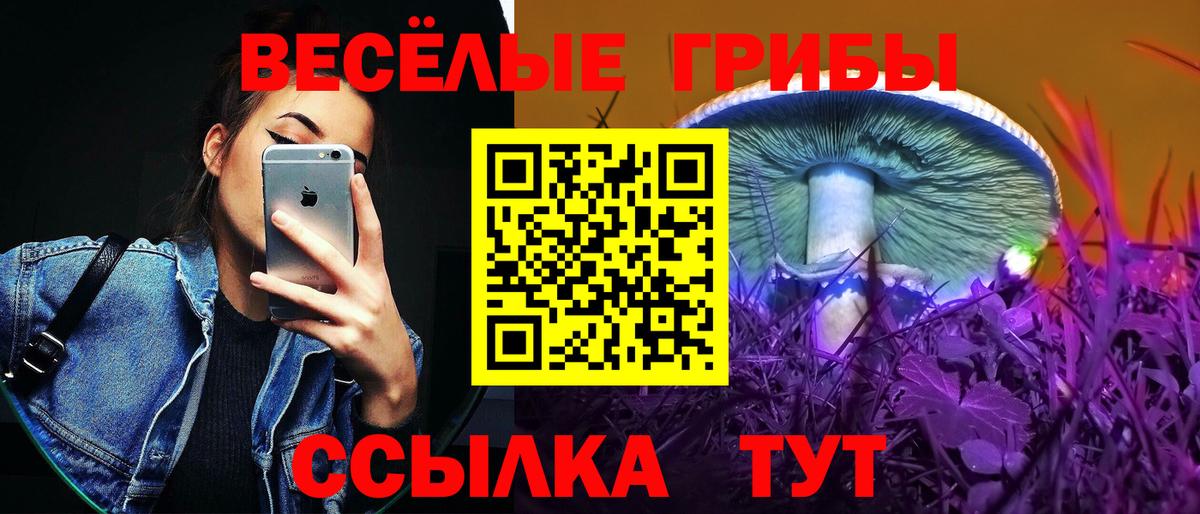 цены наркотик  Псилоцибиновые грибы мицелий  Вход с VPN  Миллерово 