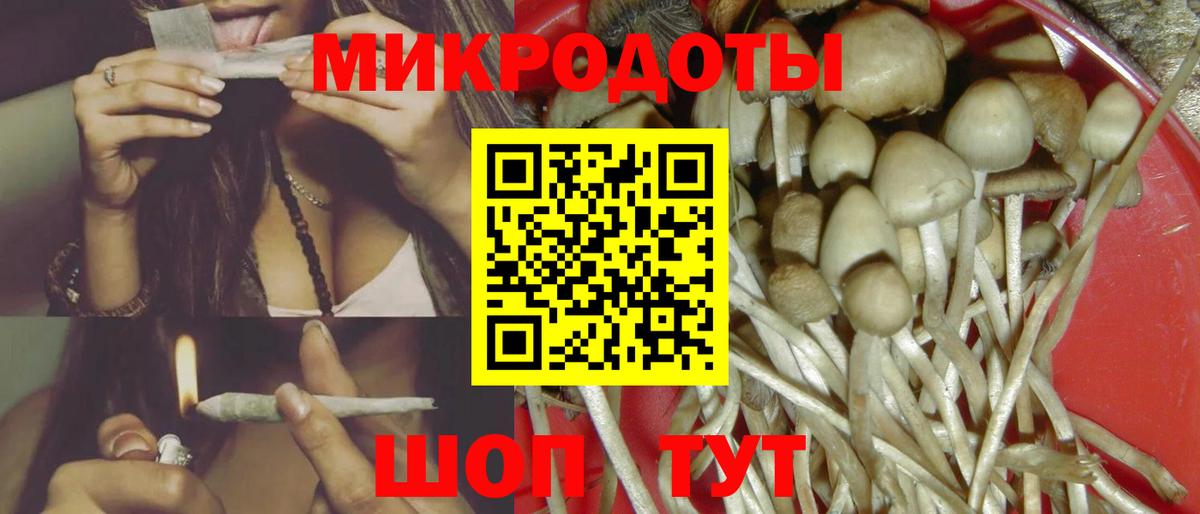 Псилоцибиновые грибы мицелий Миллерово